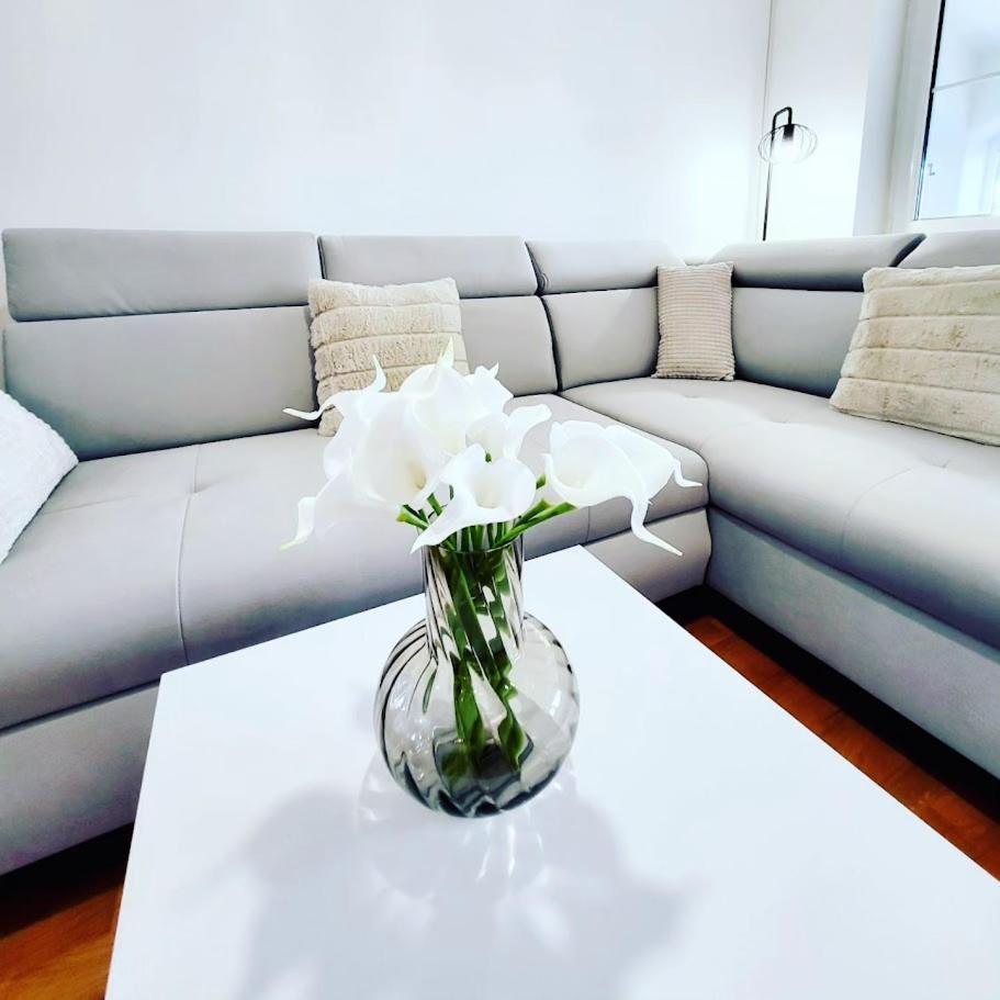 Malinsummer Apartments 马林斯卡 外观 照片